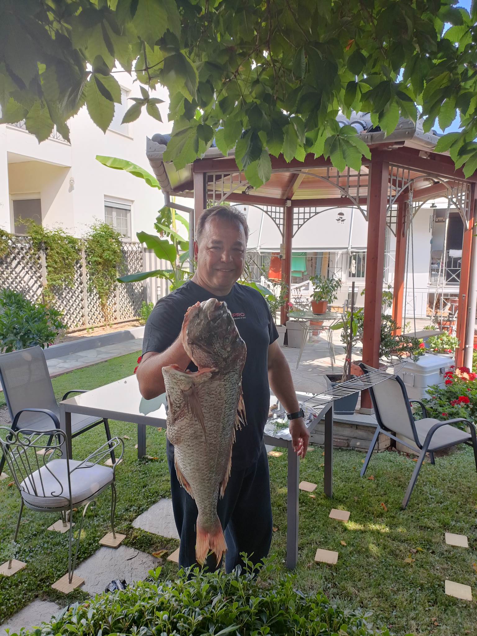 344984259_6214435092001255_2338683393119894403_n