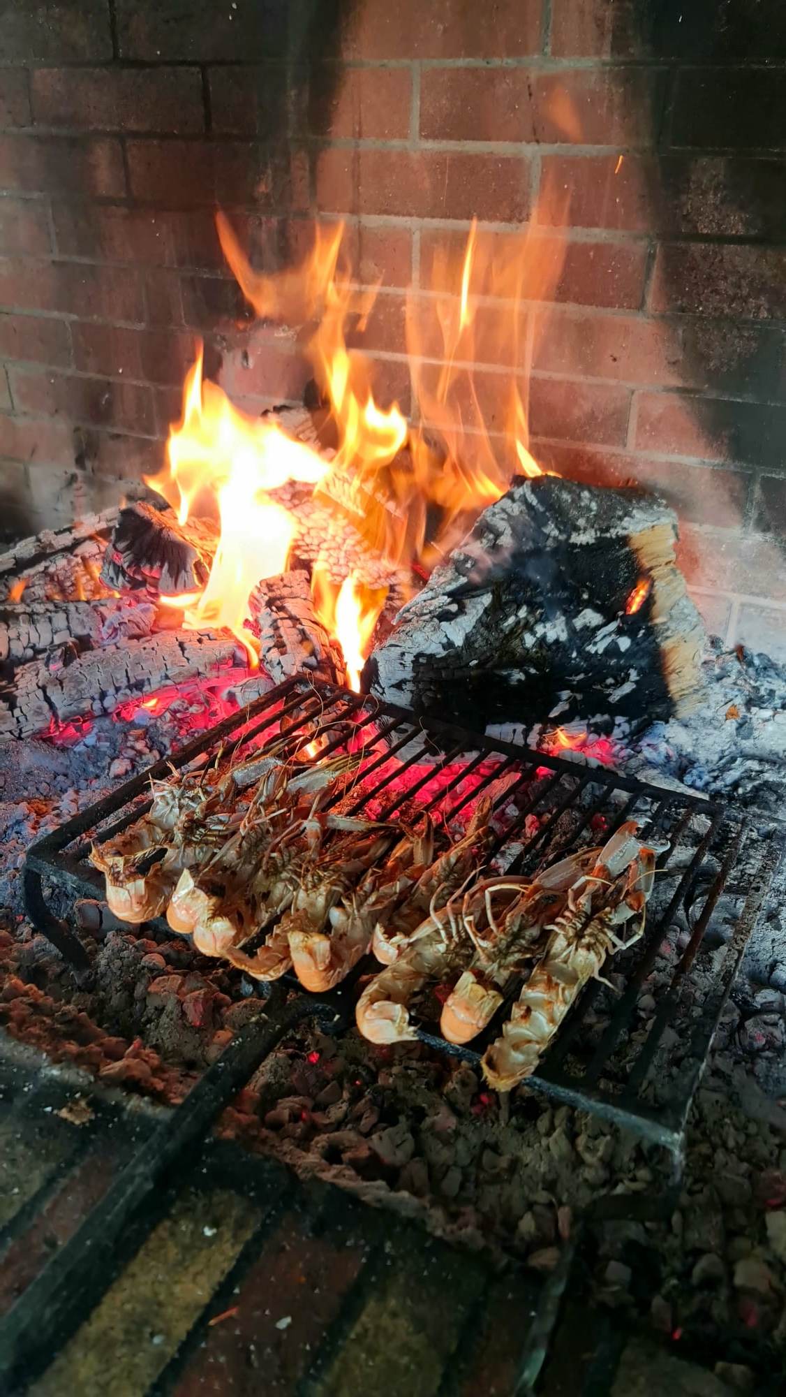 351662172_267442549178636_4565843244960664584_n