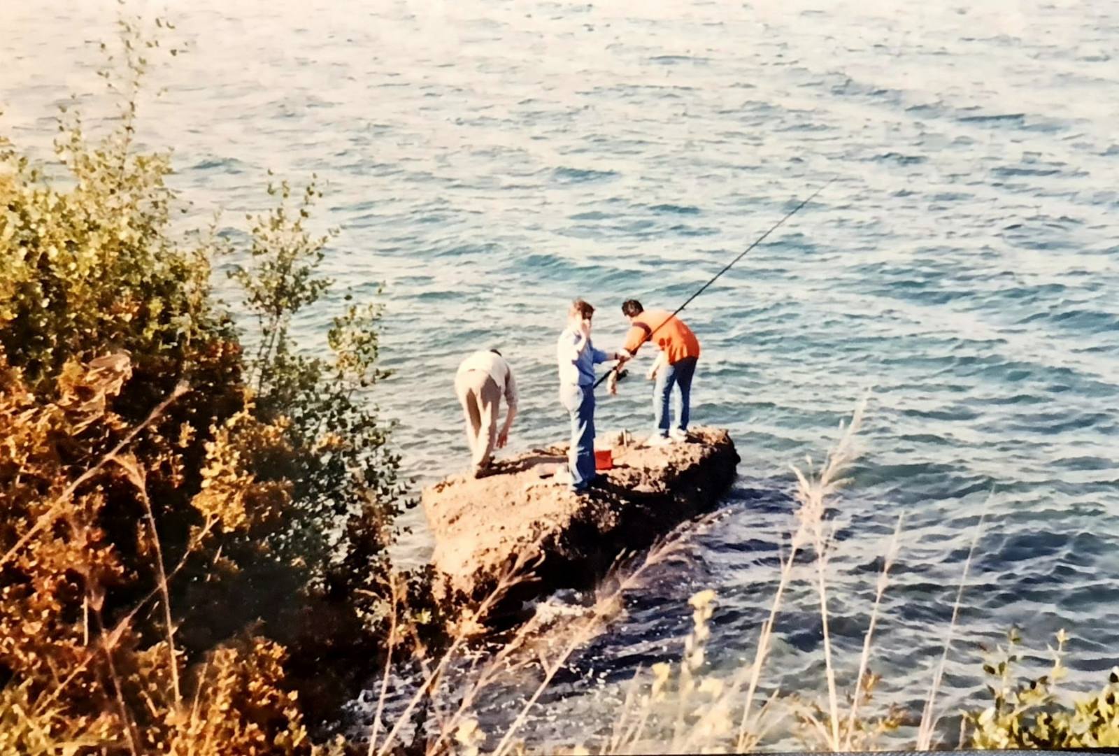 0-02-05-b80ca243c938698bd46739e7dea51eb4c6aad9cc2dc919a14e80165a70377630_bfe88b65307b1d61